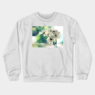 Simplicity Crewneck Sweatshirt